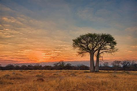 south african landscapes photography - Google Search | South african landscapes, African ...