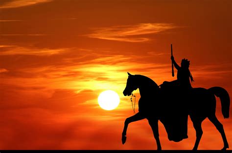 Horse Silhouette At Sunset Free Stock Photo - Public Domain Pictures