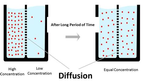 Diffusion Bonding Composites – Solid State Fabrication of Metal Matrix ...