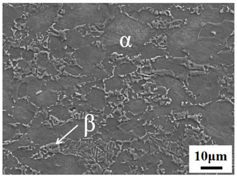 Effect of Heating on Hot Deformation and Microstructural Evolution of ...