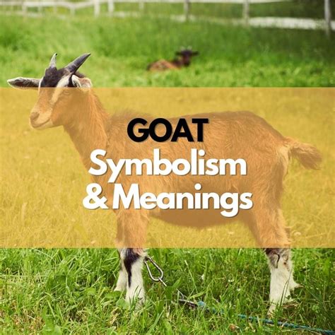 Goat: Symbolism, Meanings, and History - Symbol Genie