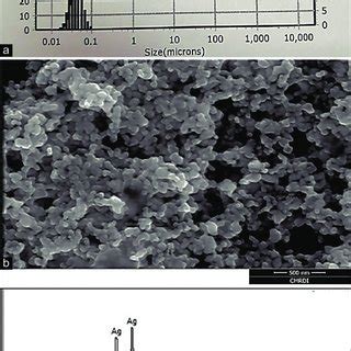 Scanning electron microscopy of the obtained nano particles. | Download ...