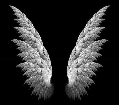 Black Wings Wallpapers - Wallpaper Cave