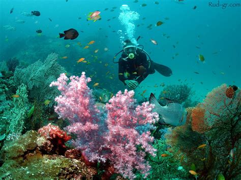 Similan is one of the most famous diving sites in Thailand, and noted ...