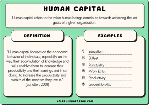 15 Human Capital Examples (2024)