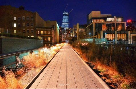 Highline Park, NYC, Winter | Highline park, Central park, High line