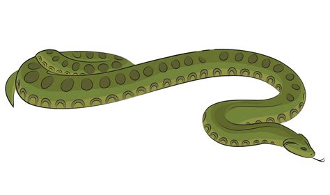 Free Anaconda Cliparts, Download Free Anaconda Cliparts png images ...