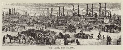 The Levee, New Orleans stock image | Look and Learn