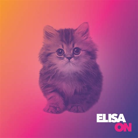 Elisa - On Lyrics and Tracklist | Genius