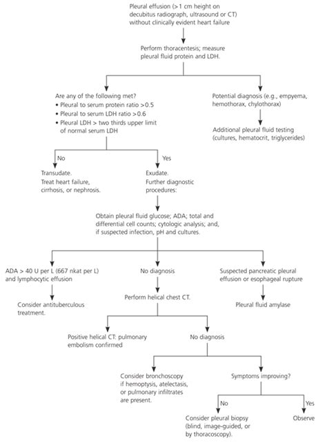 Diagnostic Approach to Pleural Effusion in Adults | AAFP