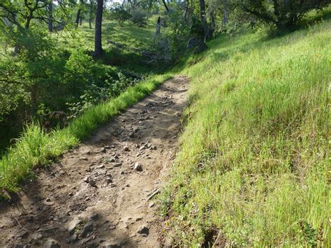 Hiking from Sky Harbor along Millerton Lake | Sierra News Online