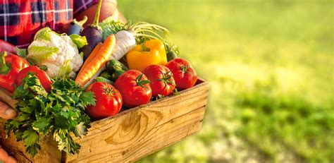 Where to find the organic food in Serbia