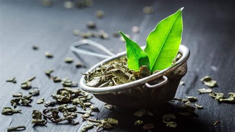 10 Types of Green Tea - Origin, Taste & Health Benefits - 10Largest