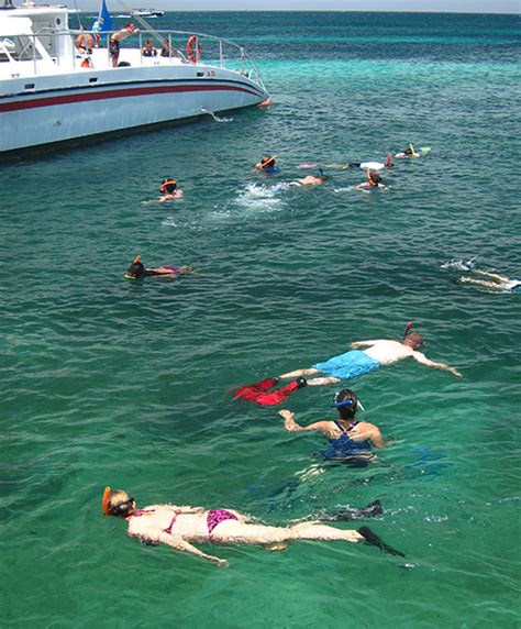 Complete Aruba Snorkeling Guide - Best Beaches And Tours