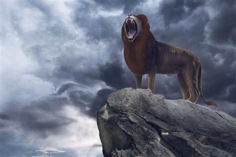 Download Simba Movie The Lion King (2019) 4k Ultra HD Wallpaper