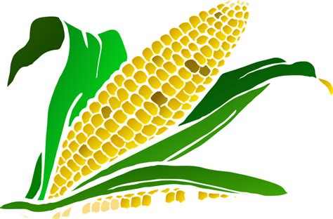 Corn Food Maize · Free vector graphic on Pixabay