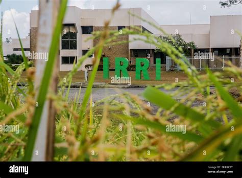 230522 -- MANILA, May 22, 2023 -- The International Rice Research Institute IRRI is pictured in ...