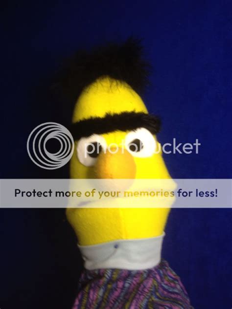 Sesame Street's "Bert" style puppet | Muppet Central Forum