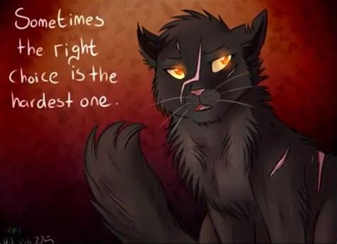 Warrior Cats Yellowfang Quotes. QuotesGram