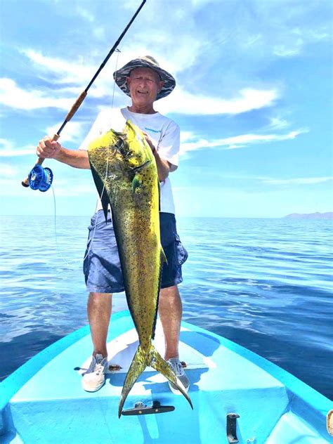 Dorado (mahi mahi) in the Sea of Cortez : r/flyfishing