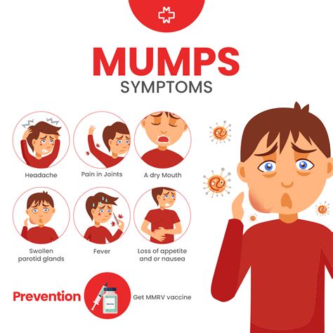 Mumps In Adults