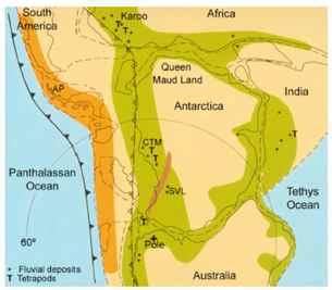 Fauna and Flora • GeoLearning • Department of Earth Sciences