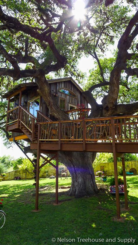 Treehouse of the Day: A Restaurant in the Sky | Seattle Refined