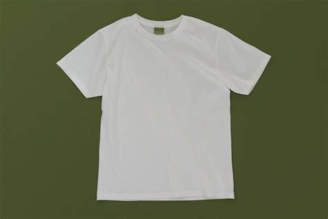 THE ORGANIC COTTON T-SHIRTS | THE DOWNLOAD