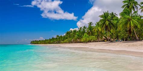 The BEST Saona Island Snorkeling 2023 - FREE Cancellation | GetYourGuide