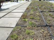 Fraser Public Schools Building - Greenroofs.com