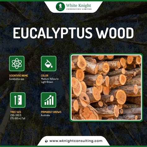 Eucalyptus Wood : A Guide to its Properties and Uses