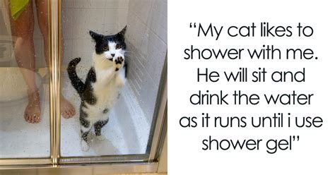 People Share 68 Hilarious Habits Their Pets Have And They’re Too Good ...