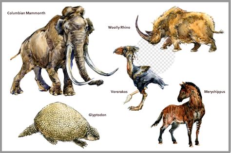 Ice Age Megafauna PNG By Elena Faenkova | TheHungryJPEG