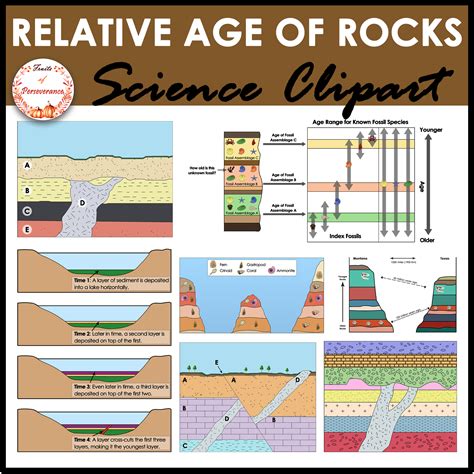 Absolute Age Of Fossils