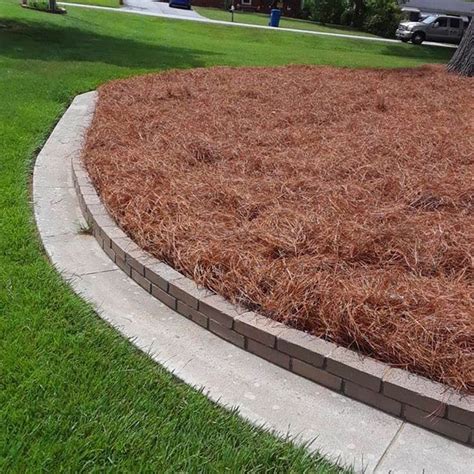 These are some of the Pine Needle Straw Mulch benefits: 1. It offers a natural ...#benefits # ...