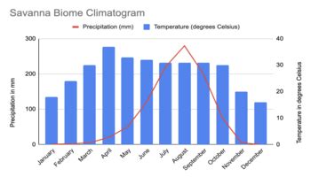 Savanna Biome Climate Graph