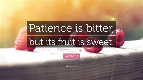 Patience Quotes (59 wallpapers) - Quotefancy