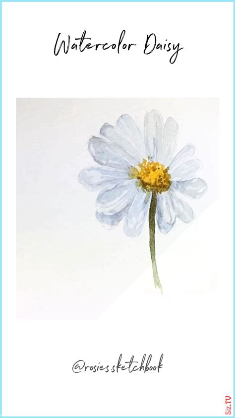 Watercolour Daisy Watercolour Daisy Rosie s Sketchbook rosiessketchbook Mini Art Tutori ...