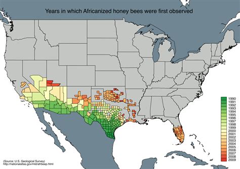 Africanized Honey Bees Map 2022 - California Adventure Map 2022