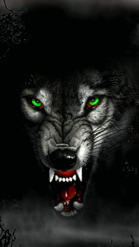 Wolf HD Wallpapers Angry - Wolf Background Images