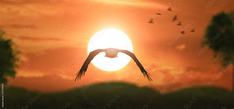 a silhouette eagle flying in clouds at sunset. Stock Photo | Adobe Stock