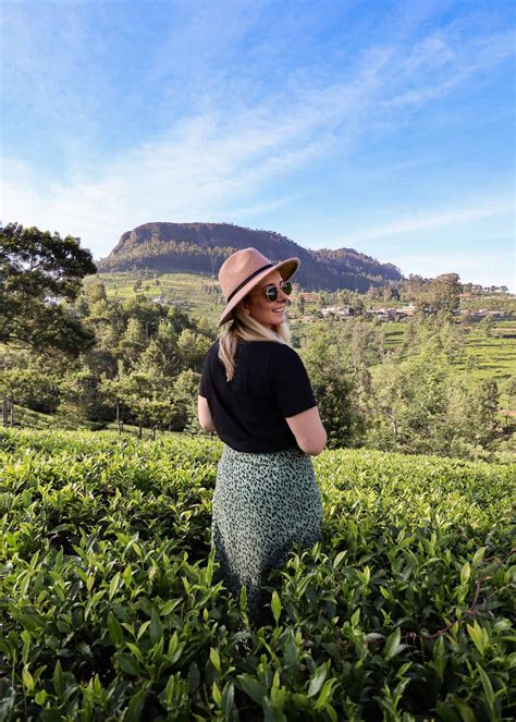 A visit to Pedro Tea Factory Tour in Nuwara Eliya Sri Lanka - Sophie's ...