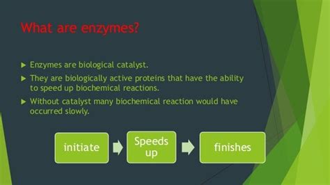 Applications of Immobilised Enzymes