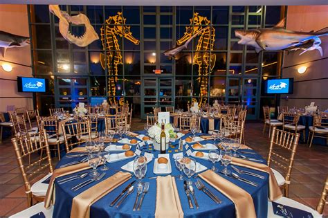 Wedding planning: Dine amongst the fishies with jawdropping views ...