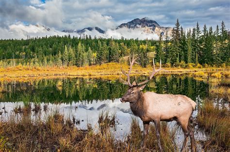 How Were The Rocky Mountains Formed? - WorldAtlas.com