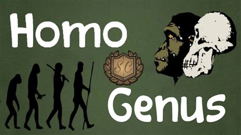 Homo Genus - All Species Characteristics - Saiful Chemistry - YouTube
