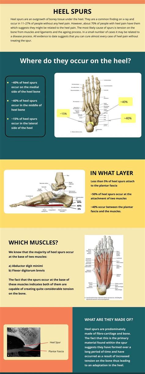 Heel Spur Exercises