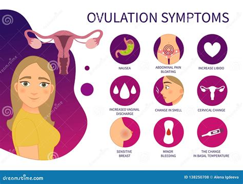 Vector Poster Ovulation Symptoms. Stock Vector - Illustration of organ, menstrual: 138250708