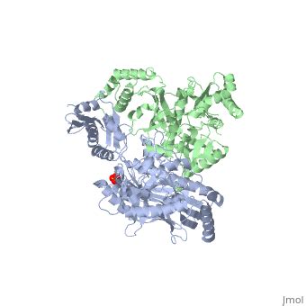 Reverse transcriptase - Proteopedia, life in 3D