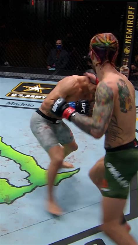 Sean O’Malley knockout highlights : r/ufc